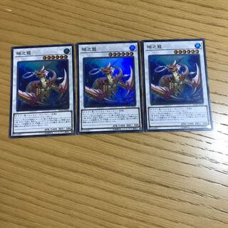 瑚之龍 スーパーレア　3枚セット