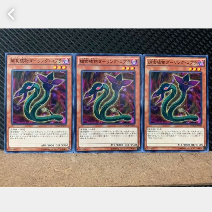 [Popotan] Yu-Gi-Oh! 4295 Predaplant Darlingtonia Cobra 3 pieces Normal