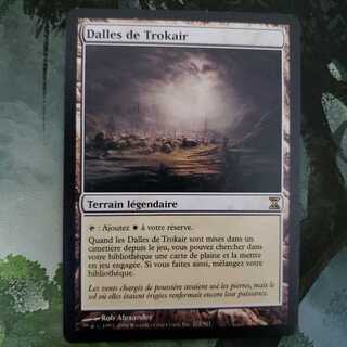 【Foil】トロウケアの敷石/Flagstones of Trokair TSP Flagstones of Trokair [TSP] Foil 【BIGWEB | MTG】日本最大級
