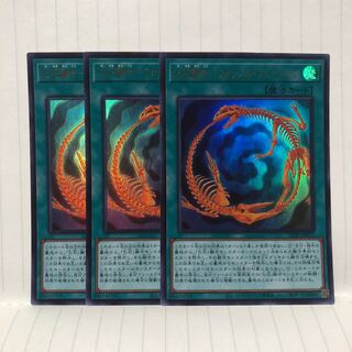 化石融合　フォッシル・フュージョン　ウルトラ　3枚　マホ子