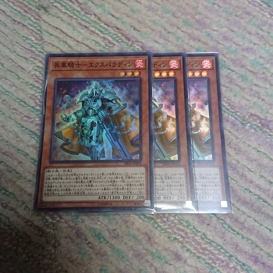 昇華騎士-エクスパラディン3枚