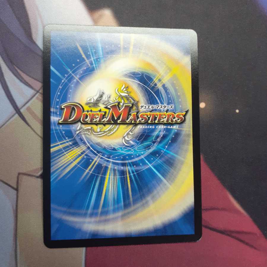 「絶対の楯騎士」