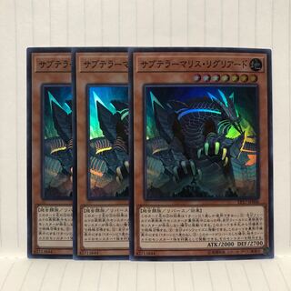 サブテラーマリス・リグリアード スーパー　3枚　マホ子