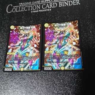 煌メク聖壁 灰瞳