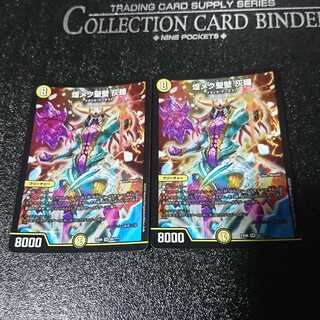 煌メク聖壁 灰瞳