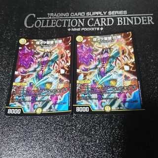 煌メク聖壁 灰瞳