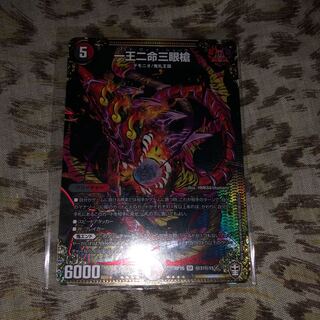 一王二命三眼槍 シク