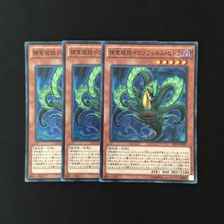 f263 捕食植物ドロソフィルム・ヒドラ スーレア 3枚セット 遊戯王 トレトレ