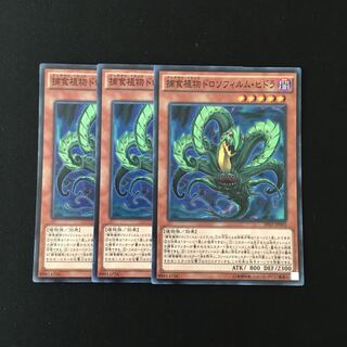 f264 捕食植物ドロソフィルム・ヒドラ スーレア 3枚セット 遊戯王 トレトレ