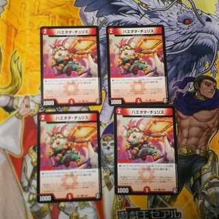 ハエタタ・チュリス 4枚