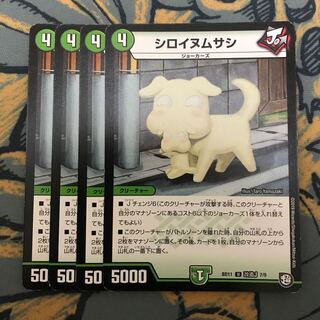 翌日発送　シロイヌムサシ　4枚