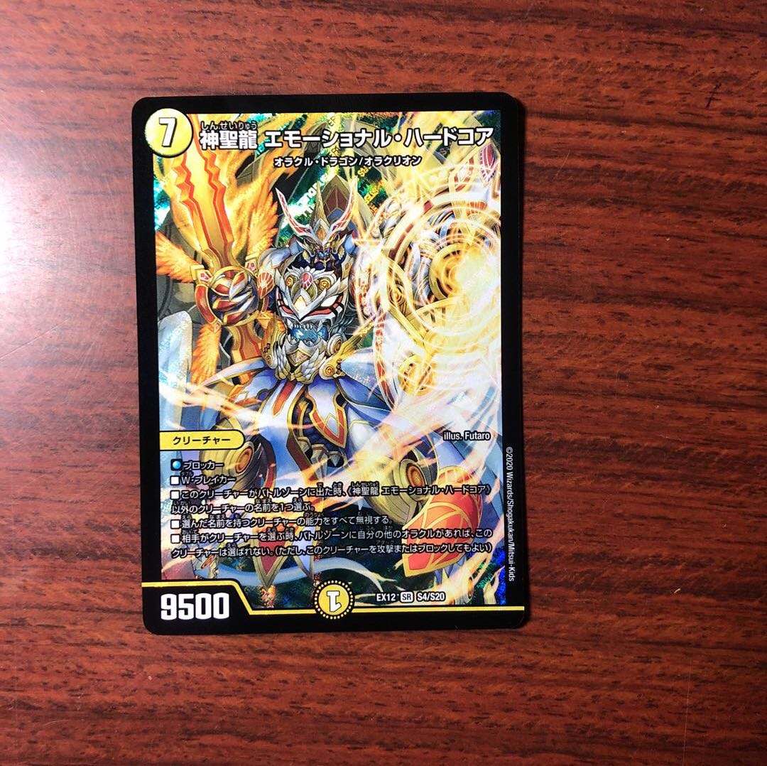 神聖龍 エモーショナル・ハードコア