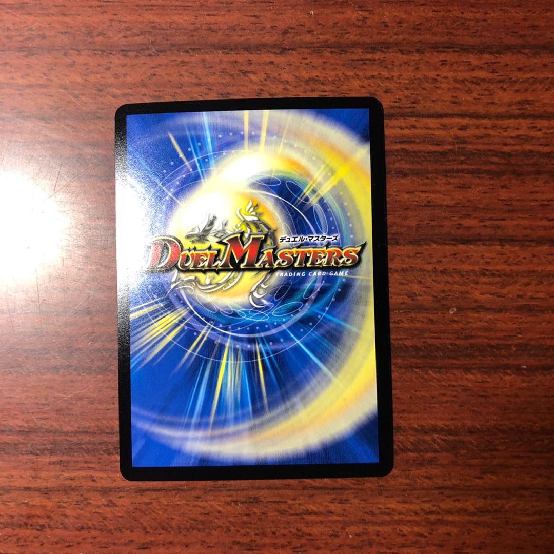 「雷光の聖騎士」