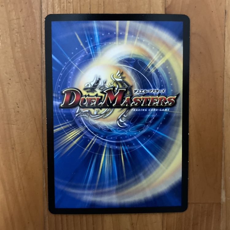 ヘビー級ヘビー SR