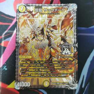 煌龍 サッヴァーク