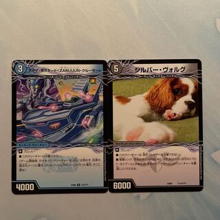 アクア・カスケード　シルバーヴォルグ