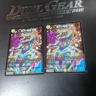 煌メク聖壁 灰瞳