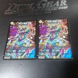 煌メク聖壁 灰瞳