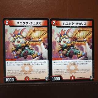 セット割引　ハエタタ・チュリス