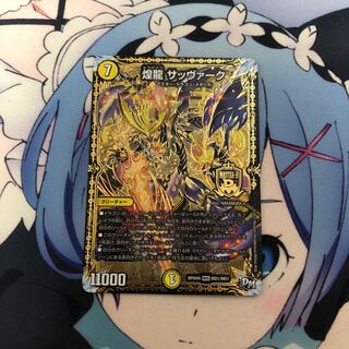 煌龍 サッヴァーク