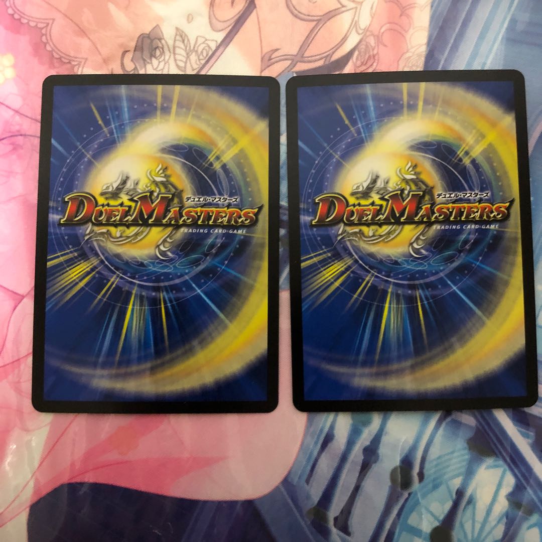 アナカラーシャコガイルセット