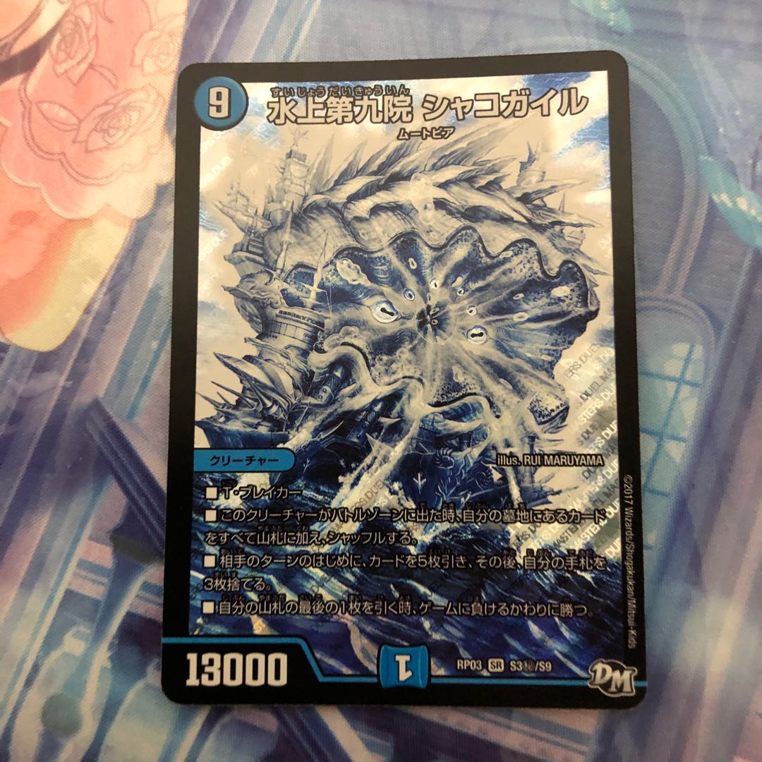 アナカラーシャコガイルセット