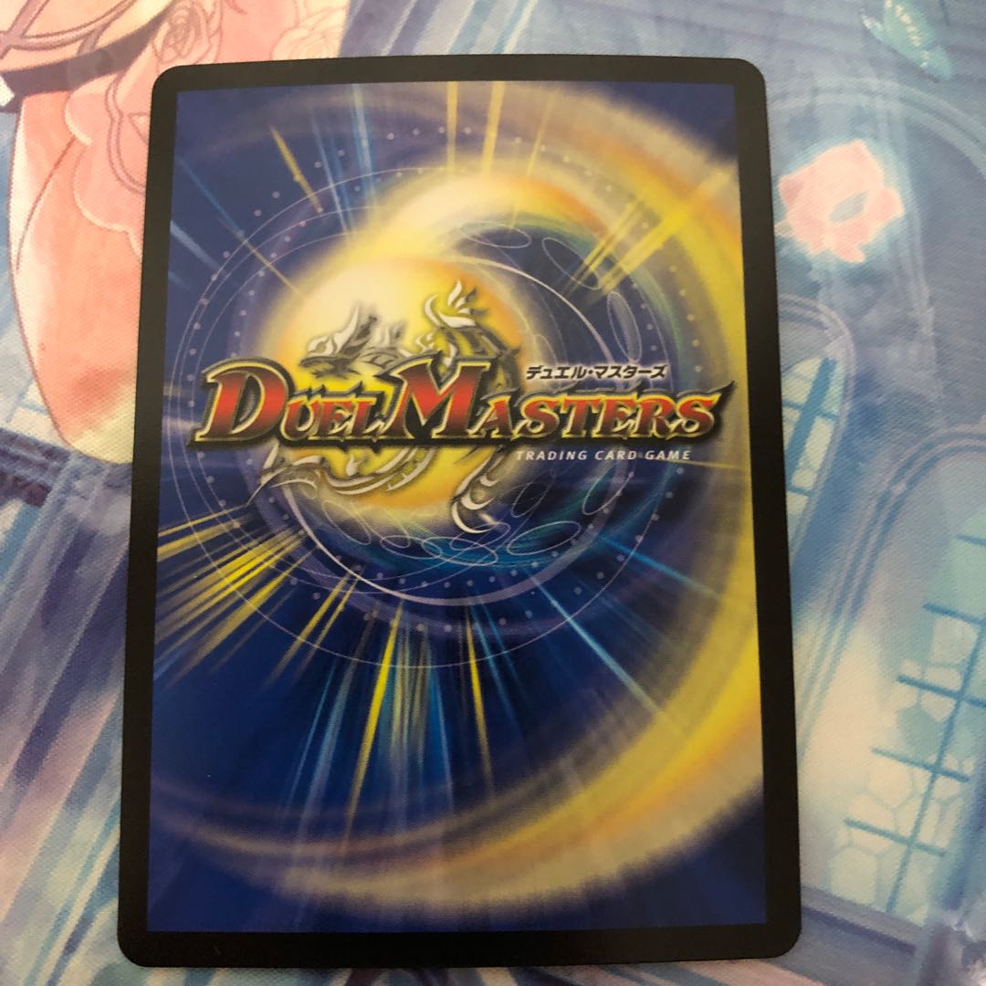 アナカラーシャコガイルセット