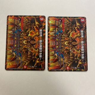 龍世界 -龍の降臨する地- 2枚