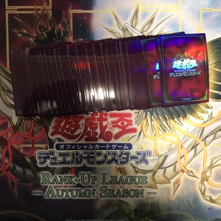 遊戯王公式プロテクター闇70枚