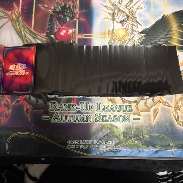 遊戯王公式プロテクター闇70枚
