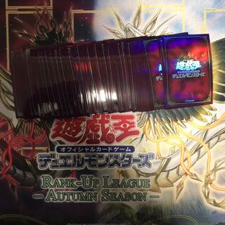 遊戯王公式プロテクター闇80枚