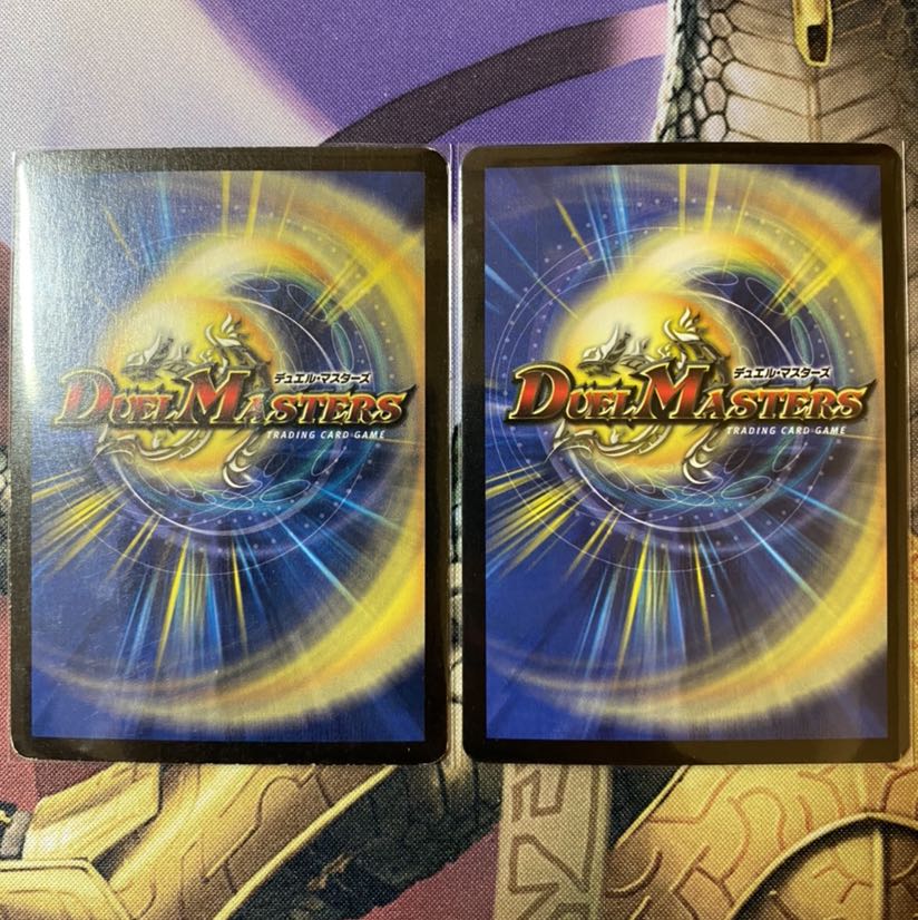 クリスタル・パラディン SR 初期　2枚