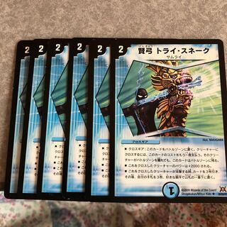 Wise Bow Tri Snake