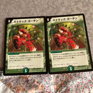 ストマック・ガーデン