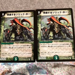 警護するソリッド・ホーン