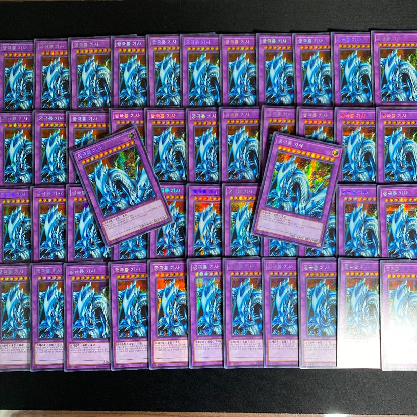 究極竜騎士　韓国版　シークレット　46枚セット　シク