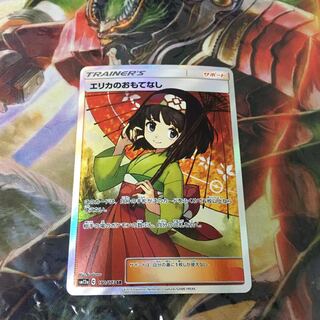 Erika's Hospitality SR