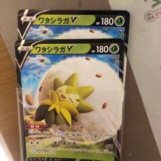 反り　ワタシラガV ２枚