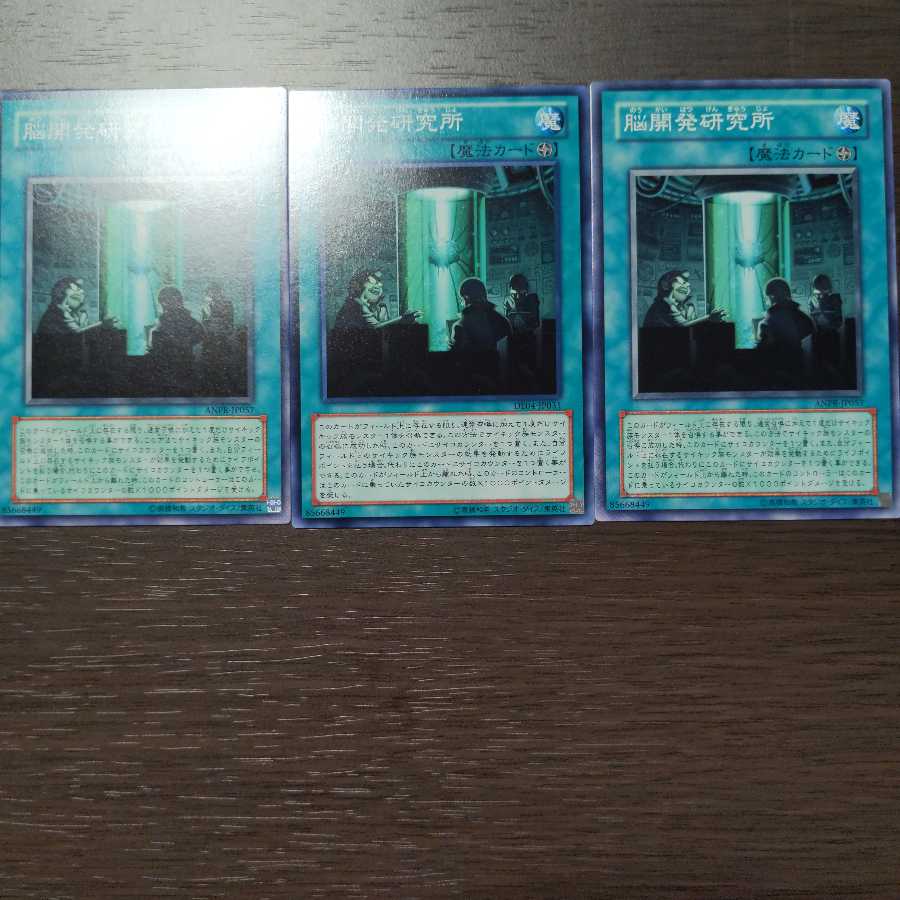 脳開発研究所 ノーマル