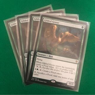 金のガチョウ 英語版 4枚