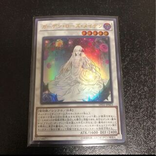 ガーデン・ローズ・メイデン ウルトラ　【カズナ】DP21