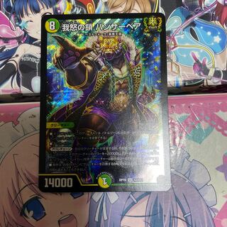 我怒の鎖 パンサーベア SR