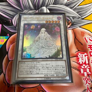 ◉ガーデン・ローズ・メイデン ウルトラレア