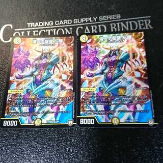 煌メク聖壁 灰瞳