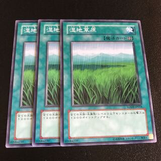 湿地草原 ノーマル