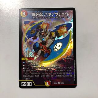 【本日限定値下げ！】ハヤブサリュウ