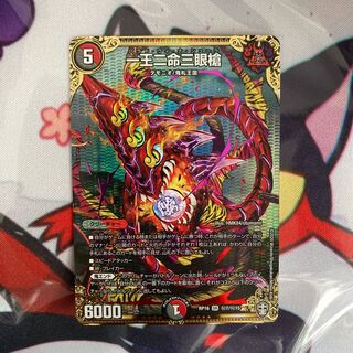 一王二命三眼槍 シク