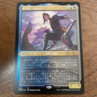 【foil】虎の影、百合子