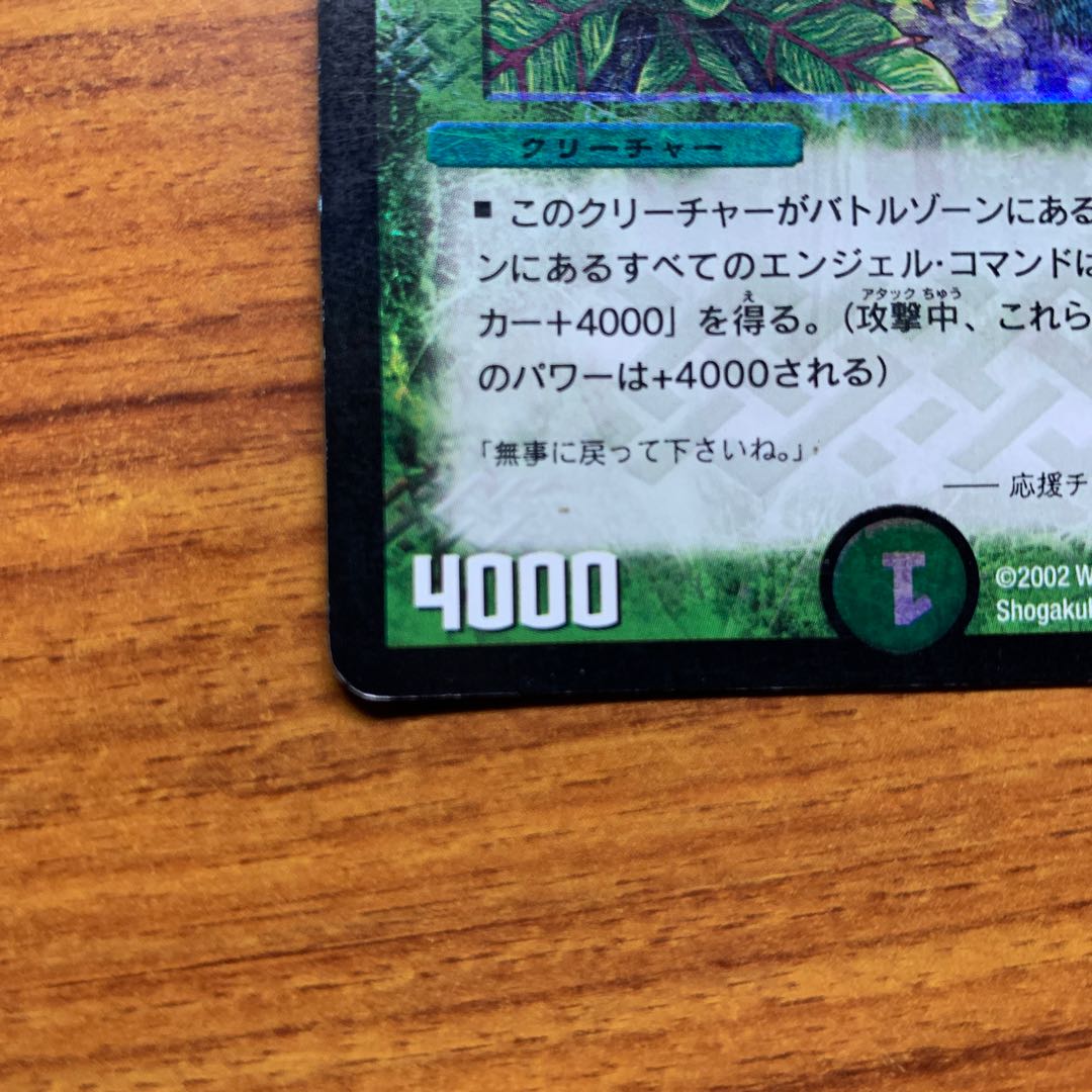 応援チューリップ 1枚の通販 Mr.ユニットバス（1491013949） | magi