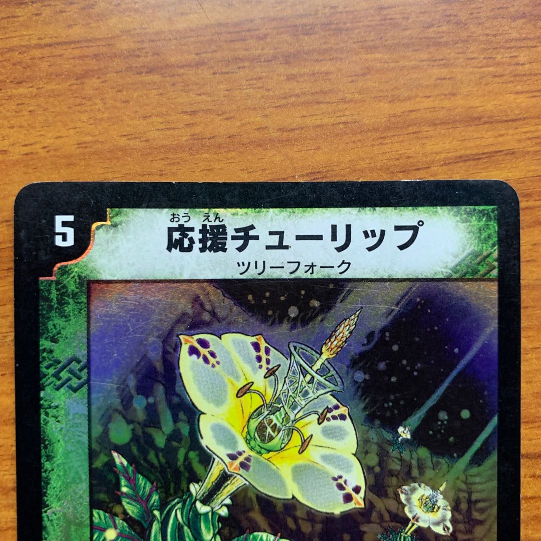 応援チューリップ 1枚の通販 Mr.ユニットバス（1491013949） | magi